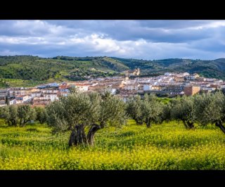 Terreno Alatoz (Albacete) 40.159 m²