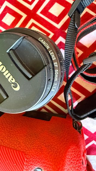 Canon EOS 5D Mark III + Lente 50mm f/1.4