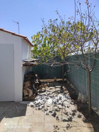 Chalet en venta en Valdepeñas