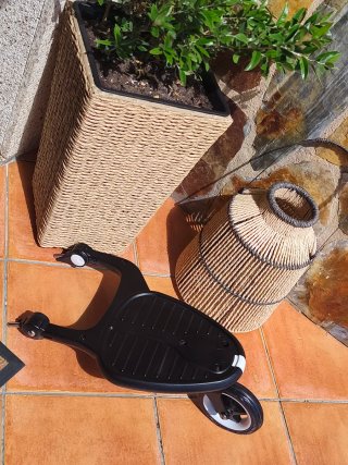 Patinete Bugaboo Camaleon