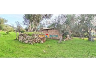 Casa rural en alquiler en Manacor Centro en Manacor