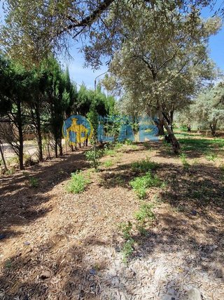 Casa rural en venta en Trigueros
