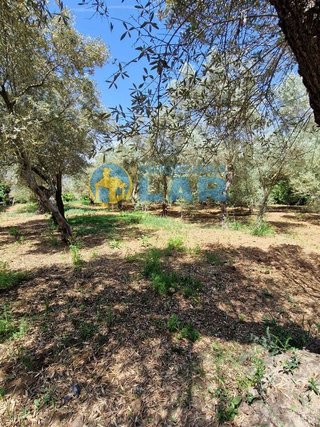Casa rural en venta en Trigueros