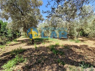 Casa rural en venta en Trigueros
