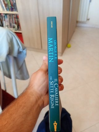 Il cavaliere dei Sette Regni