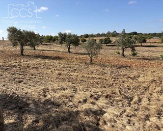 Casa rural en venta en Almonte en Almonte