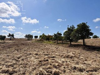 Casa rural en venta en Almonte en Almonte