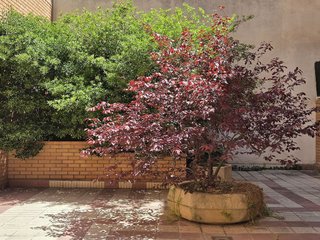 Piso en venta en San Pablo en Zaragoza
