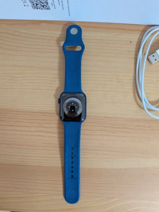 Apple Watch S6 44mm Blu