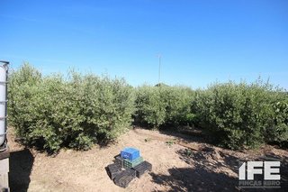 Casa rural en venta en Corella