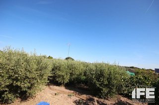 Casa rural en venta en Corella