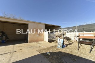 Casa rural en venta en Manacor Centro en Manacor