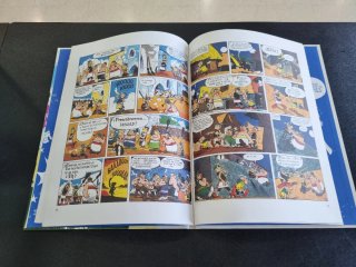 CÓMIC ASTÉRIX: ASTERIX Y LOS GODOS