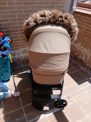 Carro Venicci