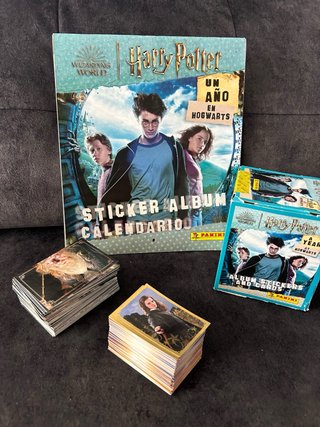 Harry Potter Un Año en Howarts