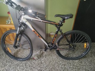 Bicicleta urbana BTWIN y GT avalanche de montaña