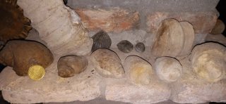 Fósiles de caracolas