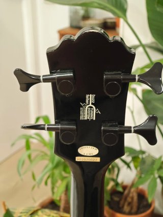 Bajo Acústico Washburn AB10 + Funda Ritter