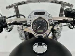 HARLEY DAVIDSON SPORTSTER 1200 LIMITED