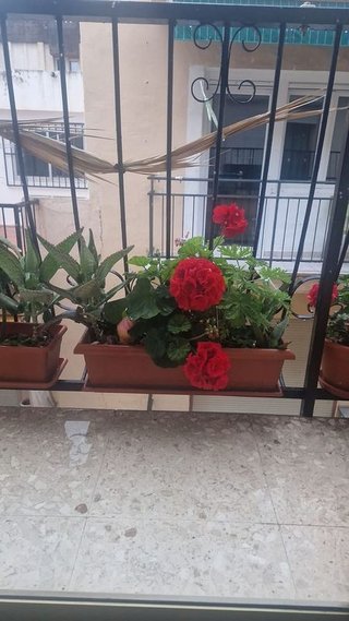 Piso en venta en Puerto en Benidorm