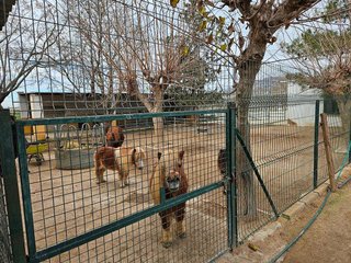 Chalet en venta en Orihuela ciudad en Orihuela