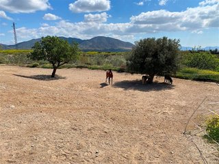 Cortijo en venta en Huércal-Overa