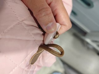 Cappotto Mayoral 12 mesi rosa