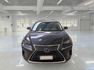 Lexus NX 300H 197 EXECUTIVE AWD (2019)