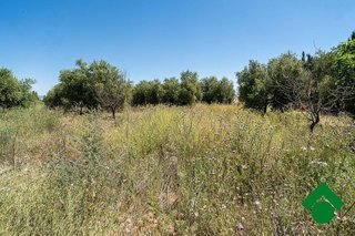Casa rural en venta en Santa Fe