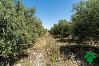 Casa rural en venta en Santa Fe