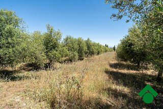 Casa rural en venta en Santa Fe