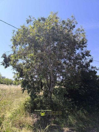 Casa rural en venta en Valls