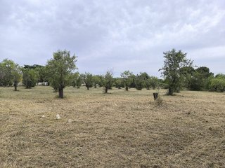 Casa rural en venta en Valls