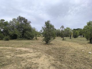 Casa rural en venta en Valls