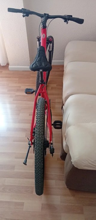 Bicicleta Alpina