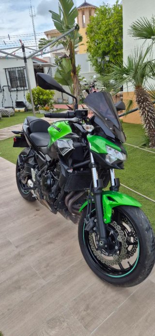 Kawasaki Z650 Naked verde4300
