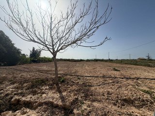 Casa en venta en Torre-Pacheco ciudad en Torre Pacheco