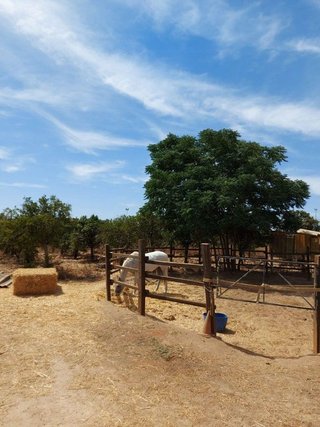 Casa en venta en Arenal - La Pólvora en Dos Hermanas