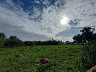 Casa en venta en Arenal - La Pólvora en Dos Hermanas