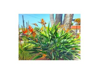 Chalet en venta en Santa Úrsula en Santa Úrsula