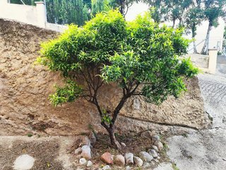 Chalet en venta en Lliçà de Vall