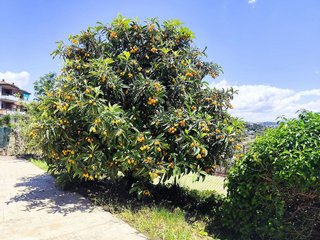 Chalet en venta en Lliçà de Vall