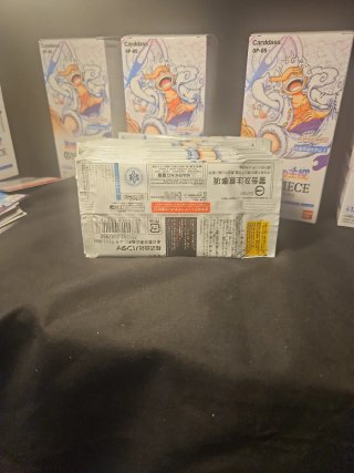 Buste One Piece OP-05 Jap (20)