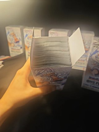 Buste One Piece OP-05 Jap (20)