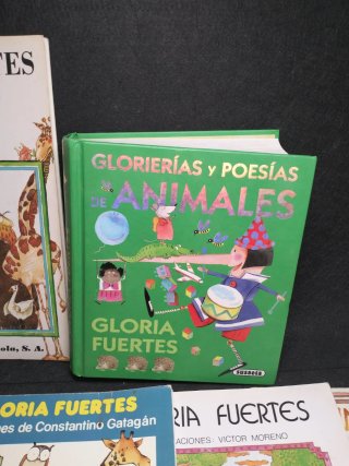 Lote Gloria Fuertes