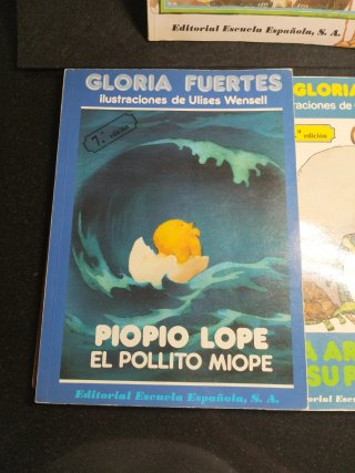 Lote Gloria Fuertes