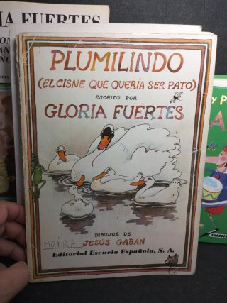 Lote Gloria Fuertes