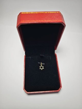 Colgante de oro de la Estrella de David