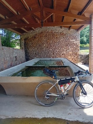 Bici Gravel Canyon Grail