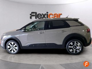 Citroën C4 Cactus PureTech 110 S&S Shine Pack